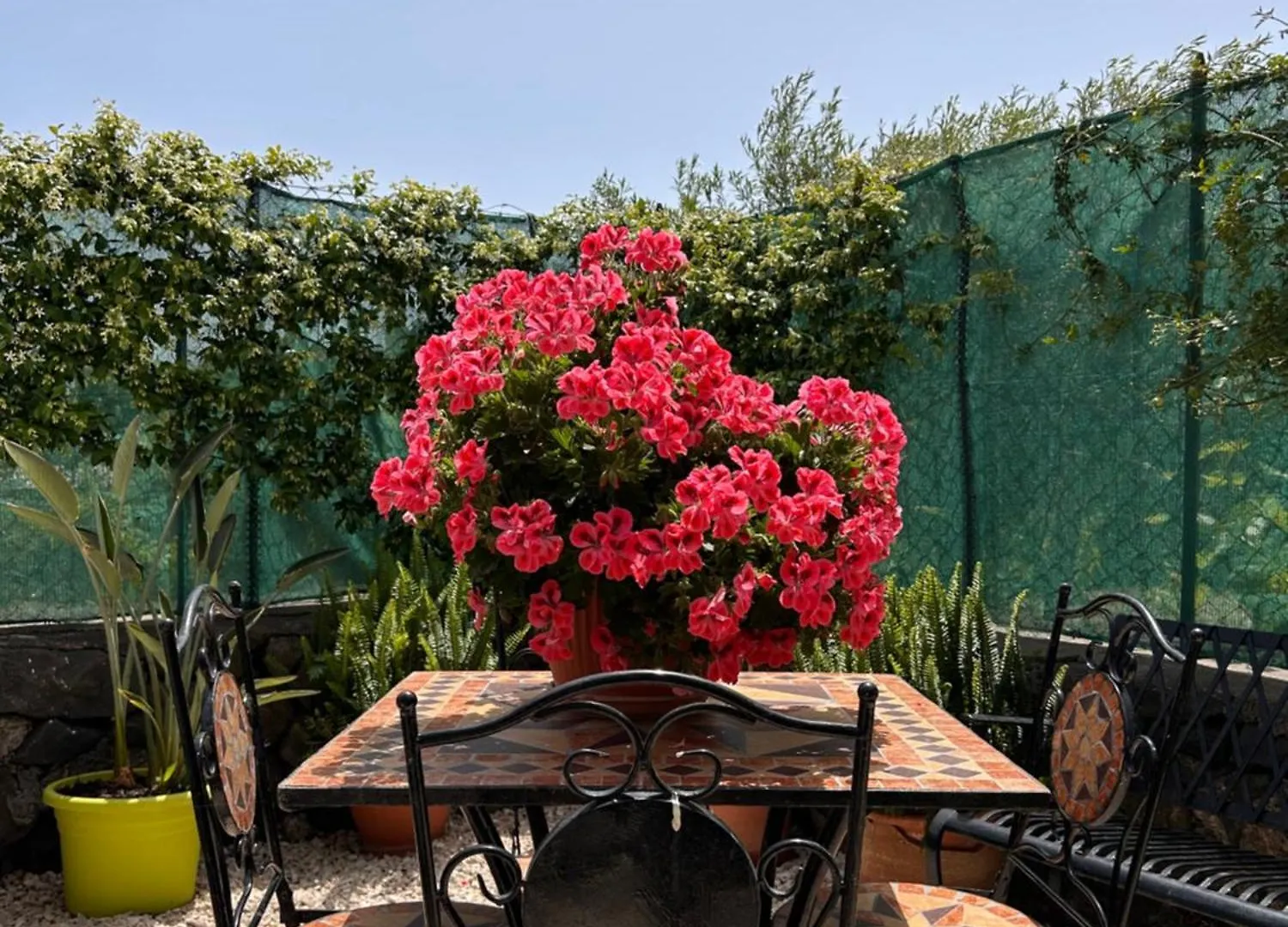 Ohana House Giarre Holiday home
