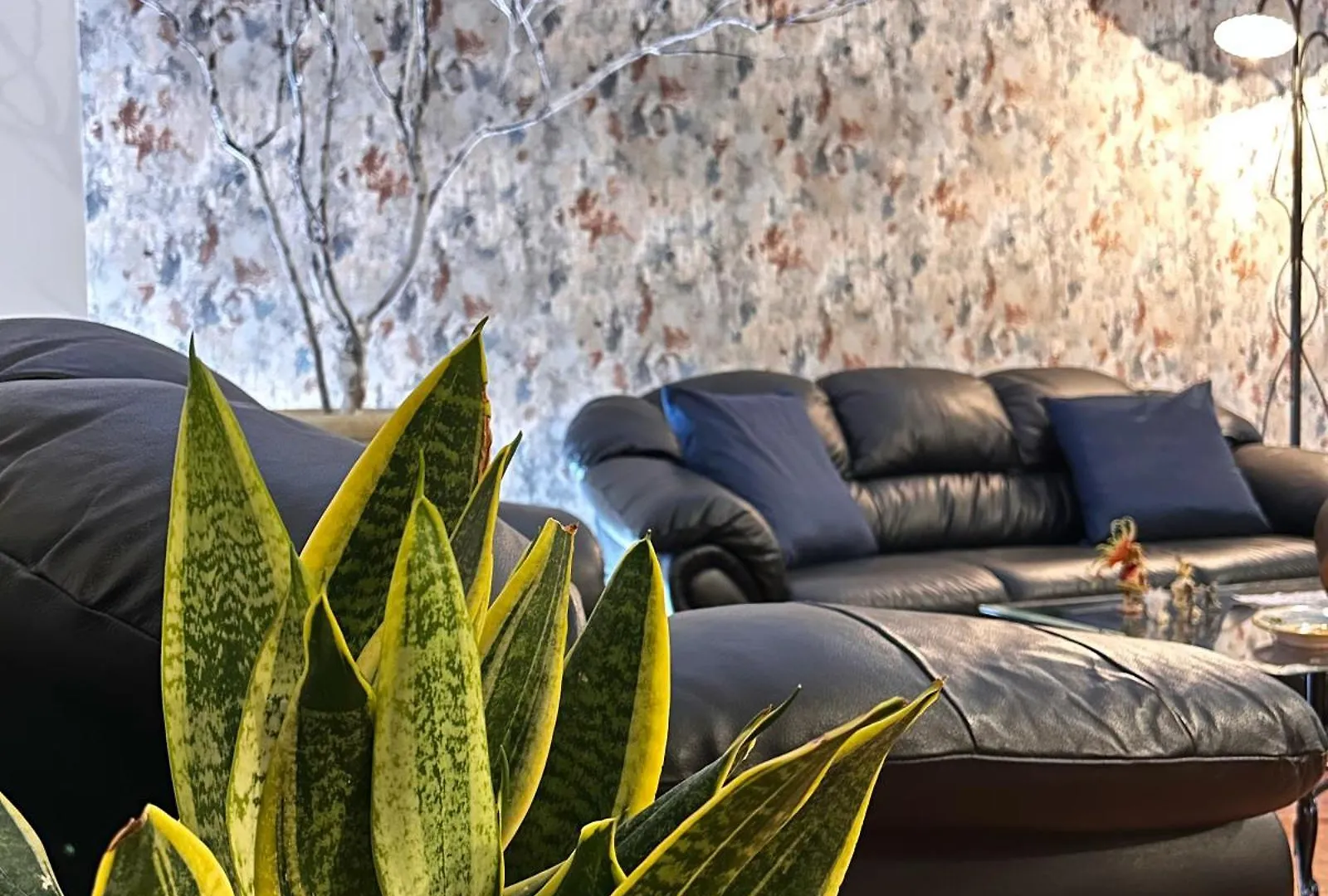 Feriehus Ohana House Giarre